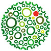  Algae Biomass Organization (Asia-Oceania'16) 
