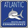  ATLANTIC WHITE SHARK CONSERVANCY 