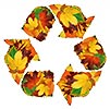  autumn recycling 