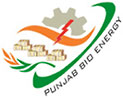  Punjab Bio Energy (PK) 