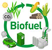  Biofuel circle 