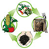  compost cycle 