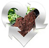  composting - modern love 