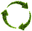  eco green development 