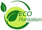  ECO plantation (HK) 