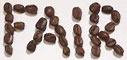  fair coffee (seeds letters) 
