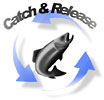  [fish] Catch & Release 