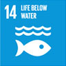  Global Goals - 14. life below water 