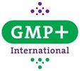  GMP International 