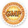  GMP - logo 
