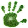 grass handprint 