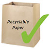  Recyclable Paper bags (2015 Honolulu, Hi, US) 