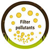  HEALTHY SOILS - Filter pollutants 