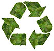  leaves mass recycling 