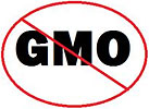  No GMO (ban) 