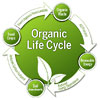  Organic Life Cycle 