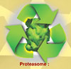  Proteasome recycling machine 