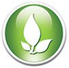  re-creation plant button 