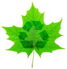  recycling on leaf 