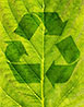  recycling (leaf pattern) 