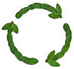  recycling leafs arrows circle 