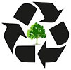  recykling z drzewkiem 