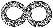 tech-crunch cycles (infinity snake) 