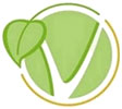  vegan symbolic leaf 