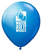  WATER: Use It Wisely (AZ, US) 